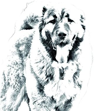 כלב רועה קווקזי, מצבה סגלגלה מאריחי קרמיקה עם תמונה של כלב